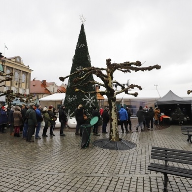 Zupa wigilijna na pszczyńskim rynku - 19.12.2021