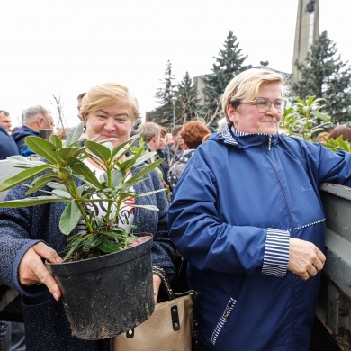 Akcja rozdawania krzewów w Pszczynie z okazji Dnia Ziemi - 25.04.2022