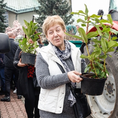 Akcja rozdawania krzewów w Pszczynie z okazji Dnia Ziemi - 25.04.2022