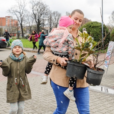 Akcja rozdawania krzewów w Pszczynie z okazji Dnia Ziemi - 25.04.2022