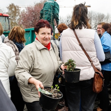 Akcja rozdawania krzewów w Pszczynie z okazji Dnia Ziemi - 25.04.2022