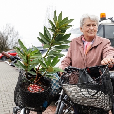 Akcja rozdawania krzewów w Pszczynie z okazji Dnia Ziemi - 25.04.2022