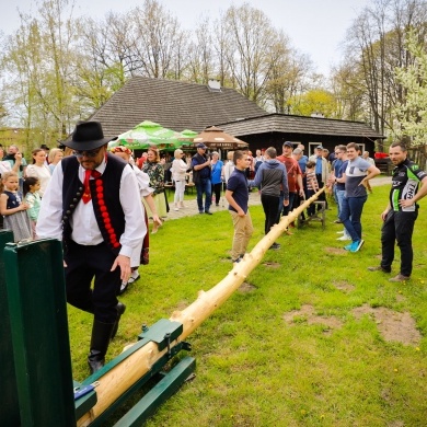 Stawianie moja w pszczyńskim skansenie - 01.05.2022