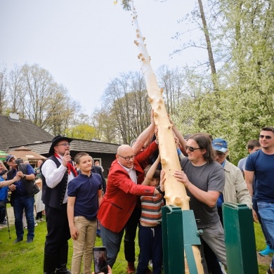 Stawianie moja w pszczyńskim skansenie - 01.05.2022