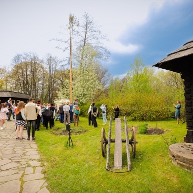Stawianie moja w pszczyńskim skansenie - 01.05.2022