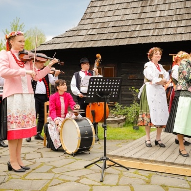 Stawianie moja w pszczyńskim skansenie - 01.05.2022