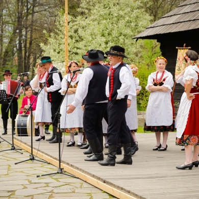 Stawianie moja w pszczyńskim skansenie - 01.05.2022