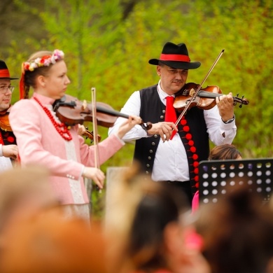 Stawianie moja w pszczyńskim skansenie - 01.05.2022