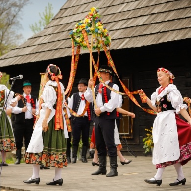 Stawianie moja w pszczyńskim skansenie - 01.05.2022