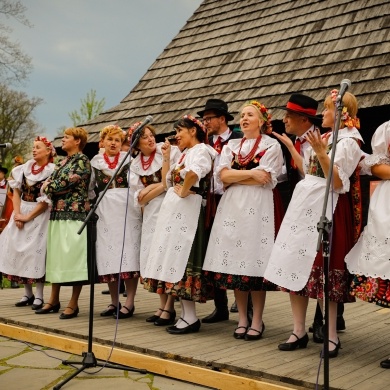 Stawianie moja w pszczyńskim skansenie - 01.05.2022