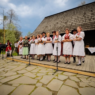 Stawianie moja w pszczyńskim skansenie - 01.05.2022