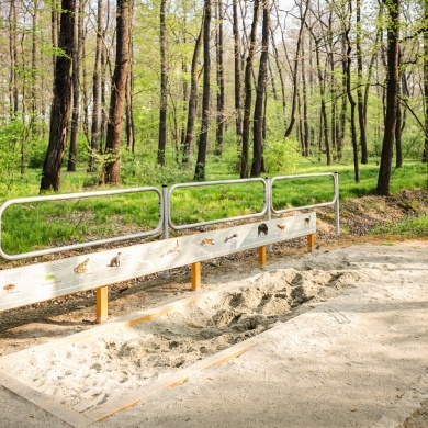 Ścieżka edukacyjna w Parku Zwierzyniec w Pszczynie - 02.05.2022