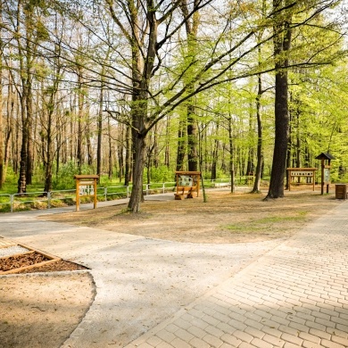 Ścieżka edukacyjna w Parku Zwierzyniec w Pszczynie - 02.05.2022