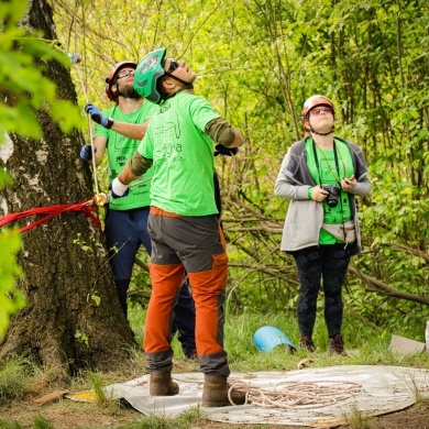 IX Mistrzostwa Polski we Wspinaczce Drzewnej w Pszczynie - 14.05.2022