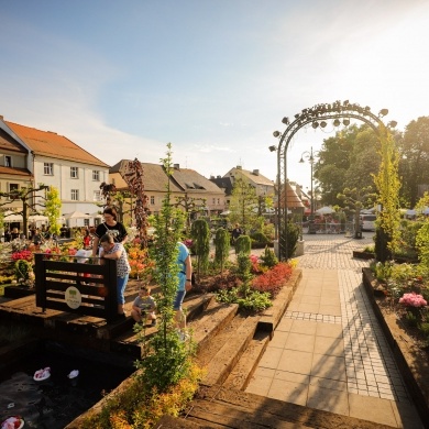 Ogrody Daisy w Pszczynie - 20.05.2022