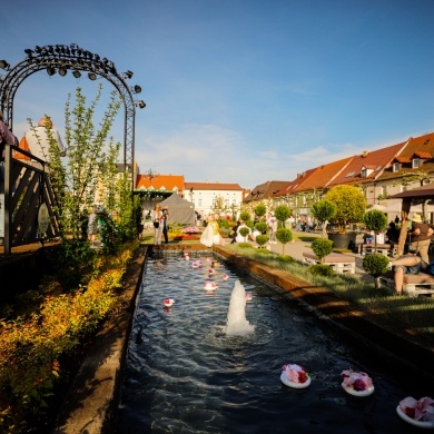 Ogrody Daisy w Pszczynie - 20.05.2022