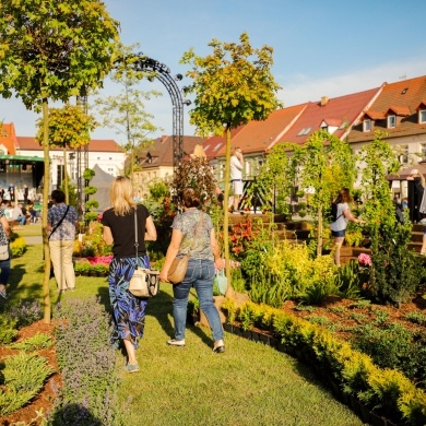 Ogrody Daisy w Pszczynie - 20.05.2022