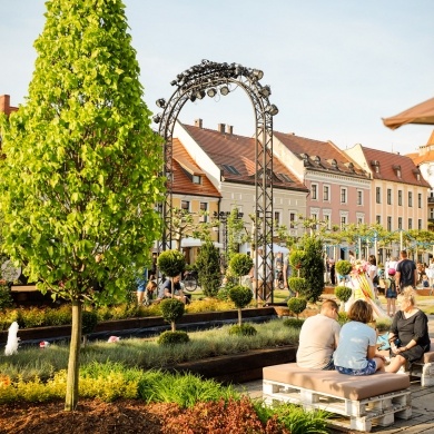 Ogrody Daisy w Pszczynie - 20.05.2022