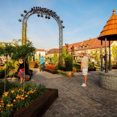 Ogrody Daisy w Pszczynie - 20.05.2022