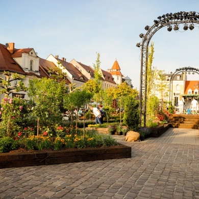 Ogrody Daisy w Pszczynie - 20.05.2022