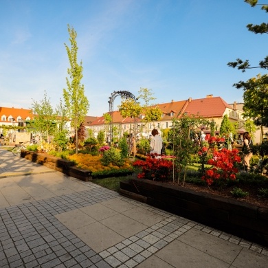 Ogrody Daisy w Pszczynie - 20.05.2022