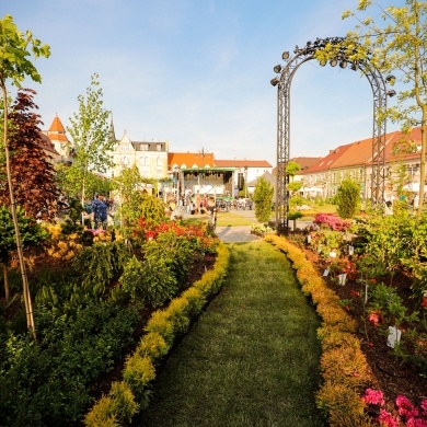 Ogrody Daisy w Pszczynie - 20.05.2022