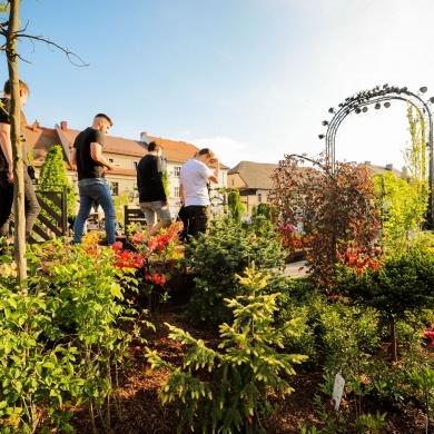 Ogrody Daisy w Pszczynie - 20.05.2022