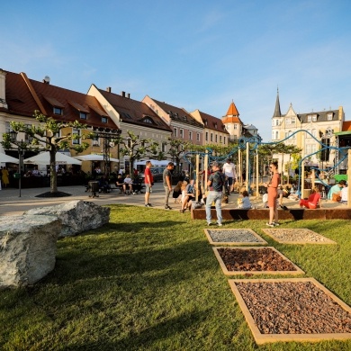 Ogrody Daisy w Pszczynie - 20.05.2022