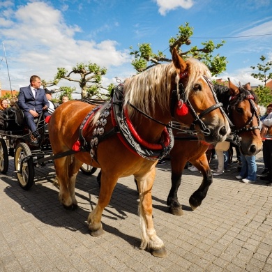 Parada konna na rynku w Pszczynie - 22.05.2022