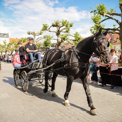 Parada konna na rynku w Pszczynie - 22.05.2022