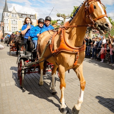 Parada konna na rynku w Pszczynie - 22.05.2022