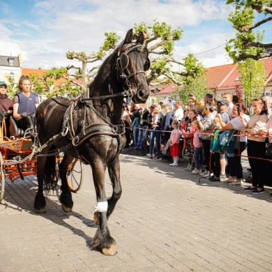 Parada konna na rynku w Pszczynie - 22.05.2022