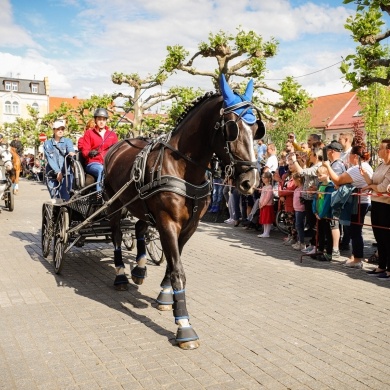 Parada konna na rynku w Pszczynie - 22.05.2022