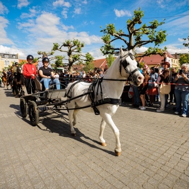 Parada konna na rynku w Pszczynie - 22.05.2022