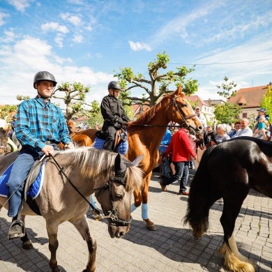 Parada konna na rynku w Pszczynie - 22.05.2022