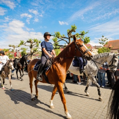 Parada konna na rynku w Pszczynie - 22.05.2022