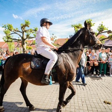 Parada konna na rynku w Pszczynie - 22.05.2022