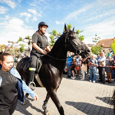 Parada konna na rynku w Pszczynie - 22.05.2022