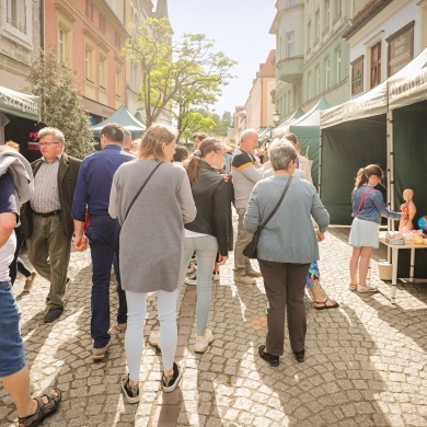 Festiwal Pszczyńskich Organizacji Pozarządowych - 22.05.2022