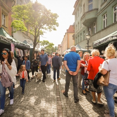 Festiwal Pszczyńskich Organizacji Pozarządowych - 22.05.2022