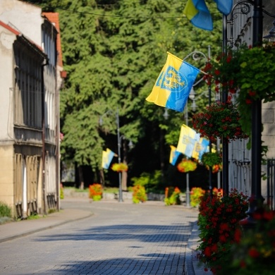 Dzień Śląskiej Flagi w Pszczynie - 15.07.2022