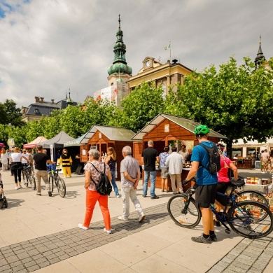 XII Śląskie Dni Miodu w Pszczynie - 06-07.08.2022