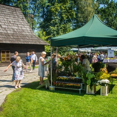 Święto Ziół w Skansenie - 15.08.2022