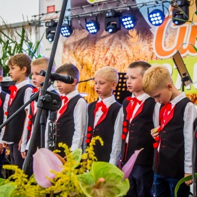 Dożynki w Ćwiklicach - 28.08.2022