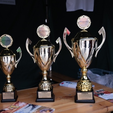 Festiwal Sportu w Pszczynie - 28.08.2022
