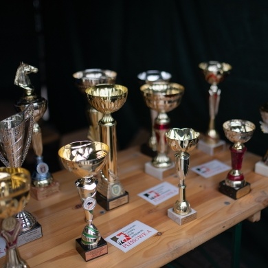 Festiwal Sportu w Pszczynie - 28.08.2022
