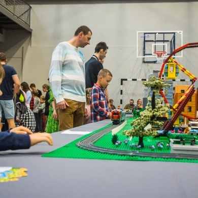 Wystawa klocków LEGO w Pszczynie - 20-21.08.2022
