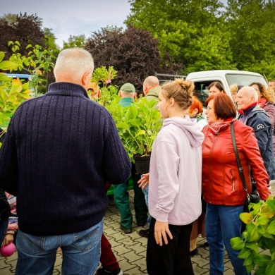 Akcja rozdawania krzewów w Pszczynie - 22.09.2022