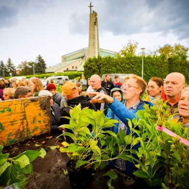 Akcja rozdawania krzewów w Pszczynie - 22.09.2022