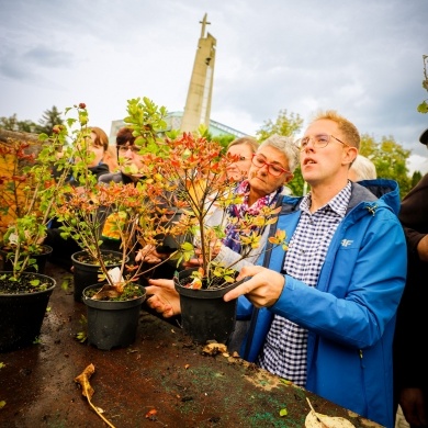 Akcja rozdawania krzewów w Pszczynie - 22.09.2022